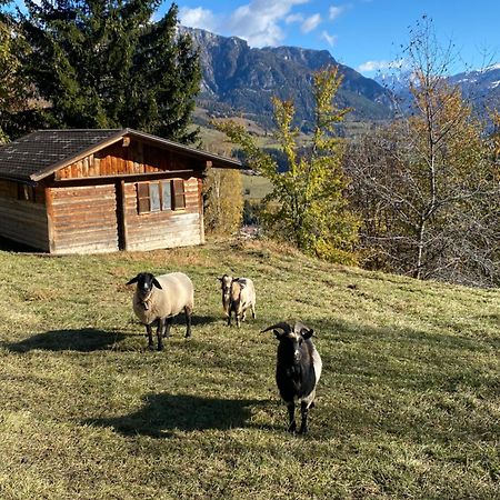 Encia'S Home Dolomiti Castello-Molina di Fiemme Zewnętrze zdjęcie
